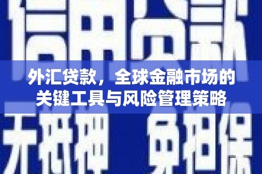 晴隆外汇贷款，全球金融市场的关键工具与风险管理策略