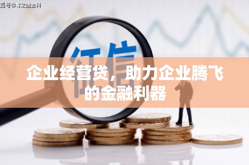 晴隆企业经营贷，助力企业腾飞的金融利器