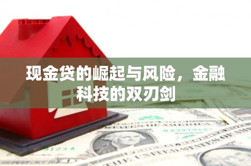 晴隆现金贷的崛起与风险，金融科技的双刃剑