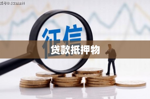 晴隆贷款抵押物