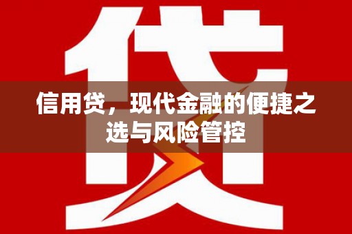 晴隆信用贷，现代金融的便捷之选与风险管控