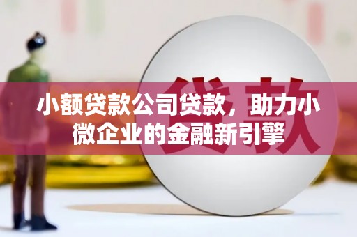 晴隆小额贷款公司贷款，助力小微企业的金融新引擎