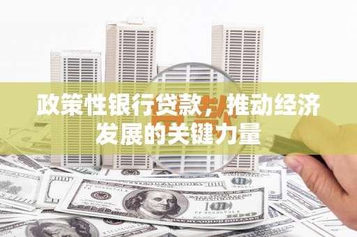 晴隆政策性银行贷款，推动经济发展的关键力量