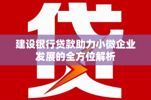 晴隆建设银行贷款助力小微企业发展的全方位解析