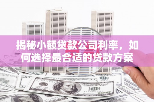 晴隆揭秘小额贷款公司利率，如何选择最合适的贷款方案