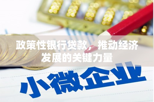 晴隆政策性银行贷款，推动经济发展的关键力量