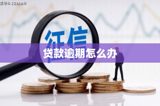 晴隆贷款逾期怎么办