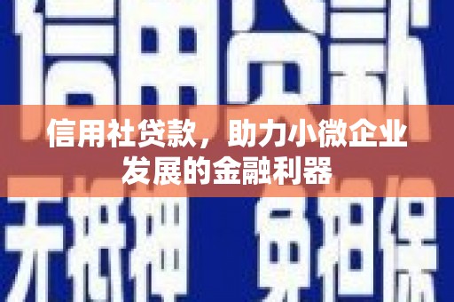 晴隆信用社贷款，助力小微企业发展的金融利器