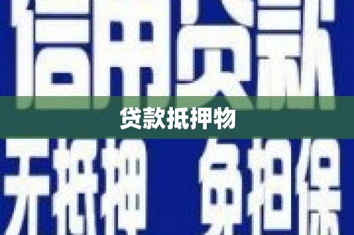 晴隆贷款抵押物