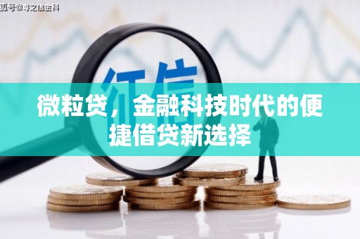 晴隆微粒贷，金融科技时代的便捷借贷新选择