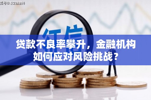 晴隆贷款不良率攀升，金融机构如何应对风险挑战？