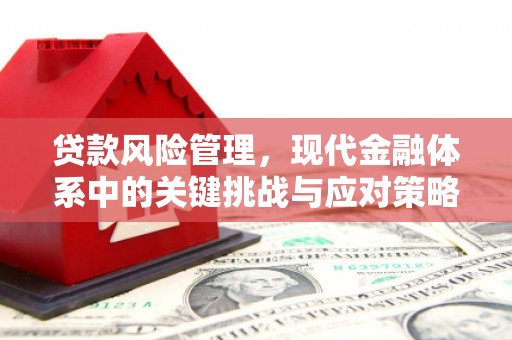 晴隆贷款风险管理，现代金融体系中的关键挑战与应对策略
