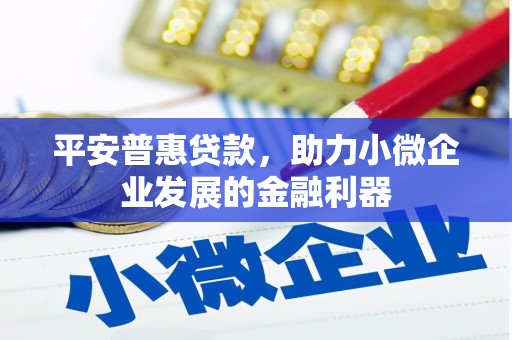 晴隆平安普惠贷款，助力小微企业发展的金融利器